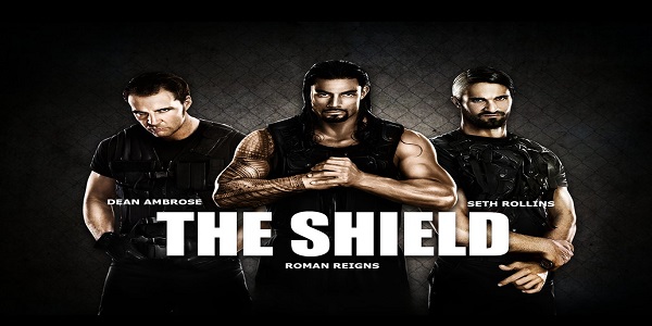 دانلود هوم ویدئو WWE Destruction of The Shield 2015