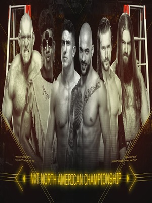 WWE NXT TakeOver Ladder Match 2018